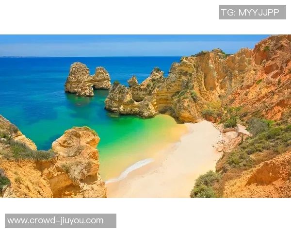 葡萄牙与阿尔及利亚的精彩对决揭示足球魅力与国家荣誉的碰撞